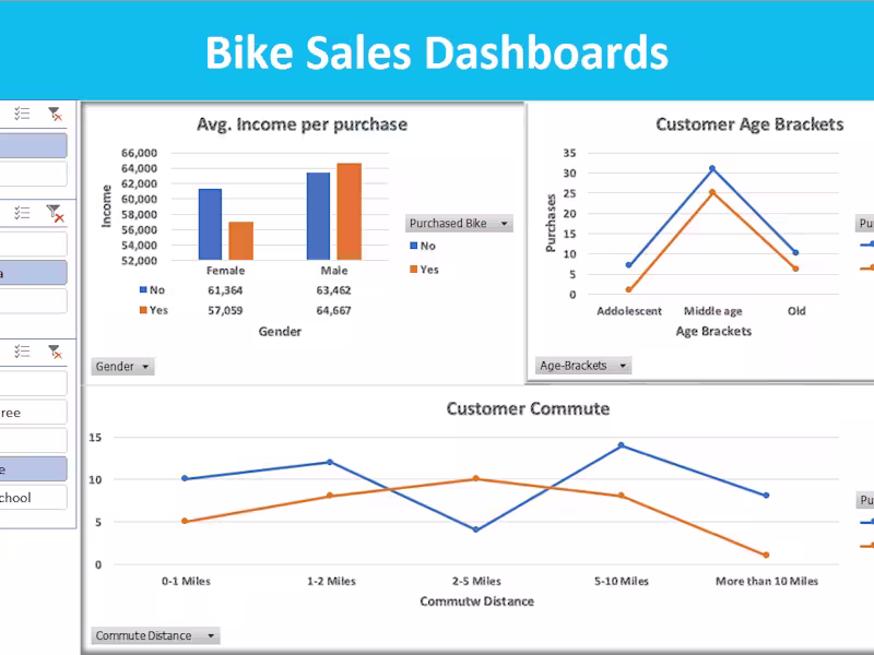 Cover image for Customer Data Analysis for Marketing and sales Insights