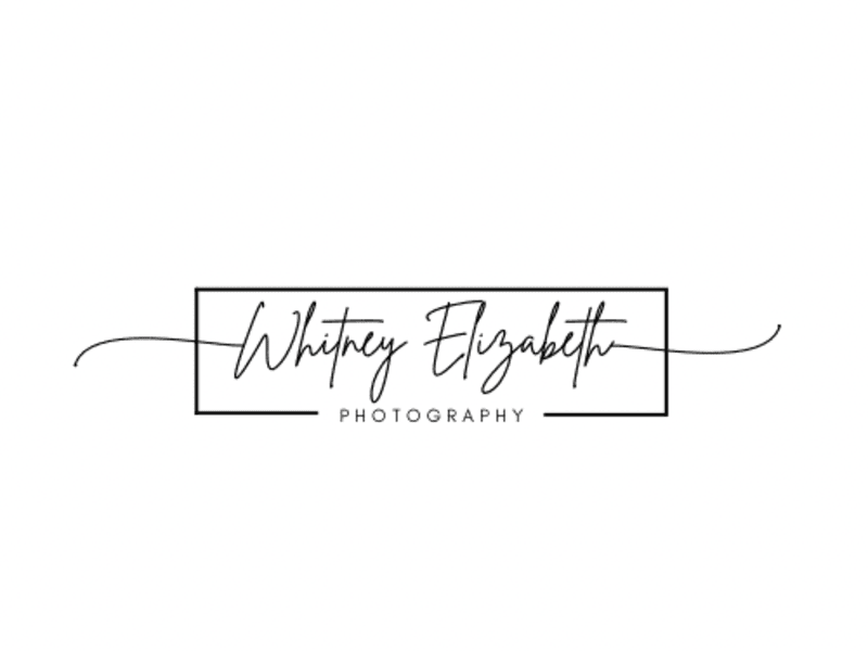 Cover image for Logo Designs