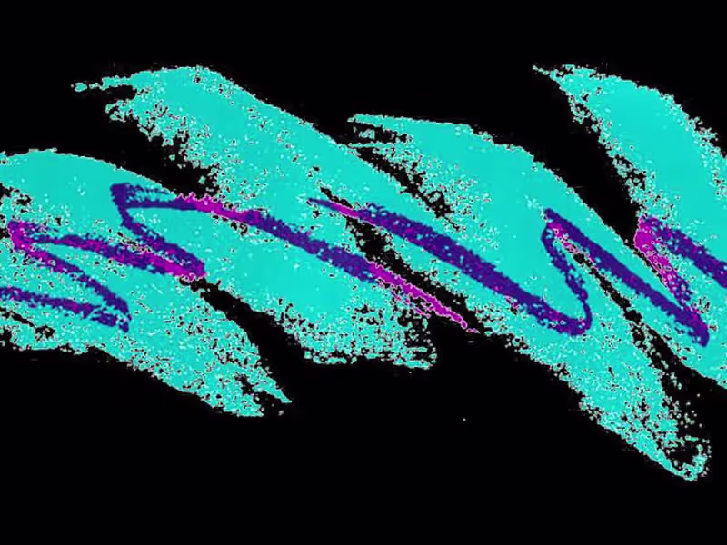 Cover image for Unique articles complete with SEO