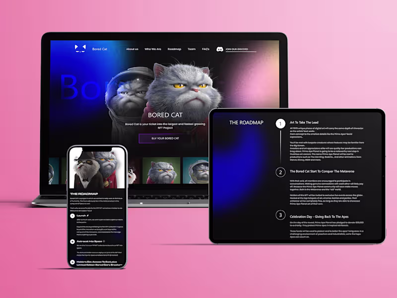 Cover image for Bored cat - UI/UX and Web Development for NFT art website