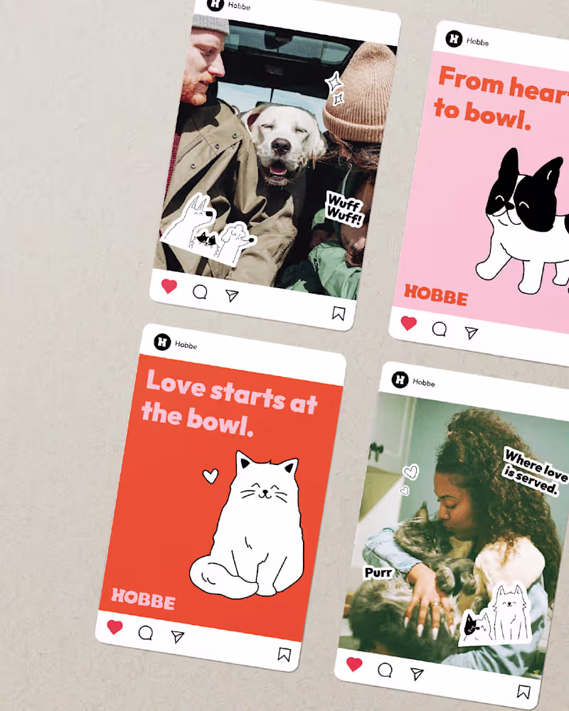 Cover image for (2/3) Had a lot of