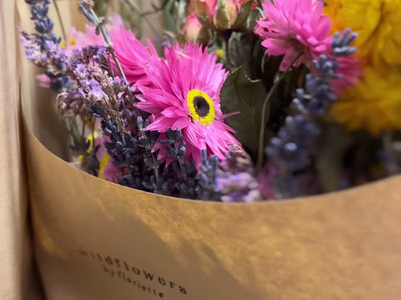 Cover image for Collaborative video with Šopek.si