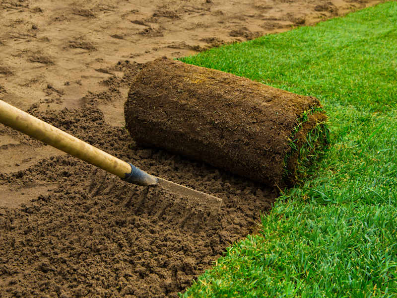 Cover image for barboniprati.it - rolling lawn company