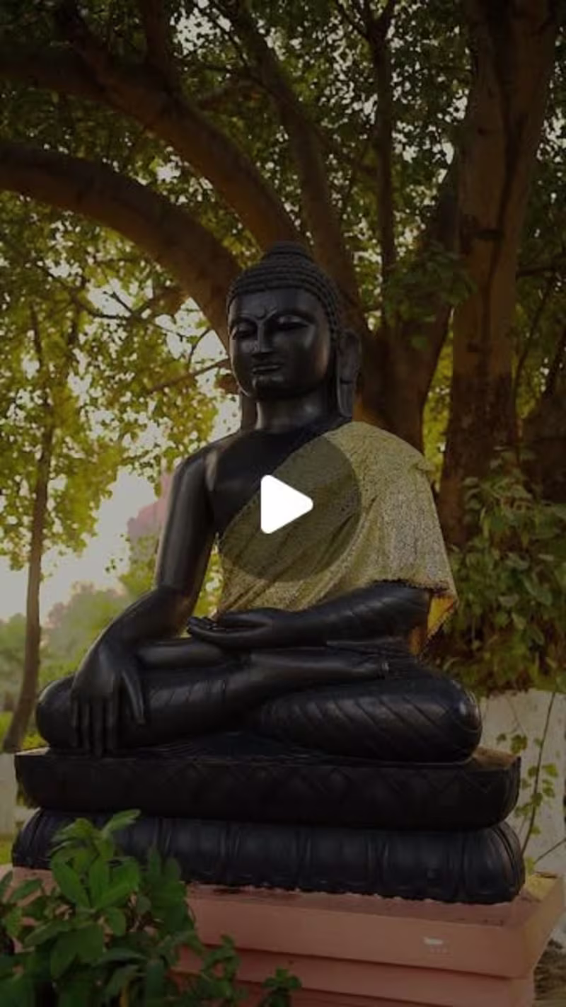 Cover image for Atul Sharma on Instagram: ”#sony #sonyalpha #sony #india”