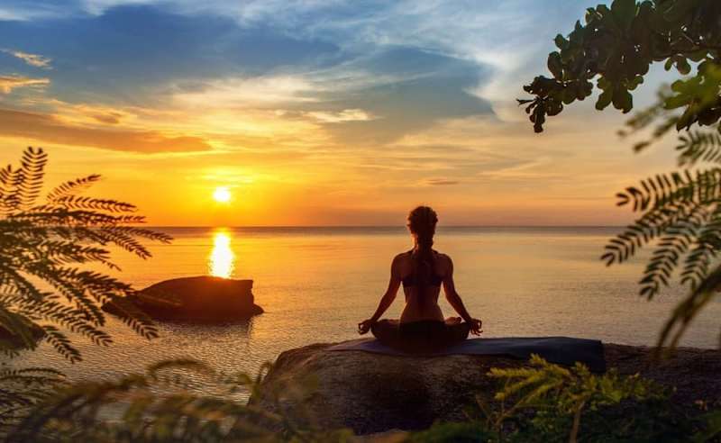 Cover image for What is the Relationship between Stress and your Endocannabinoid