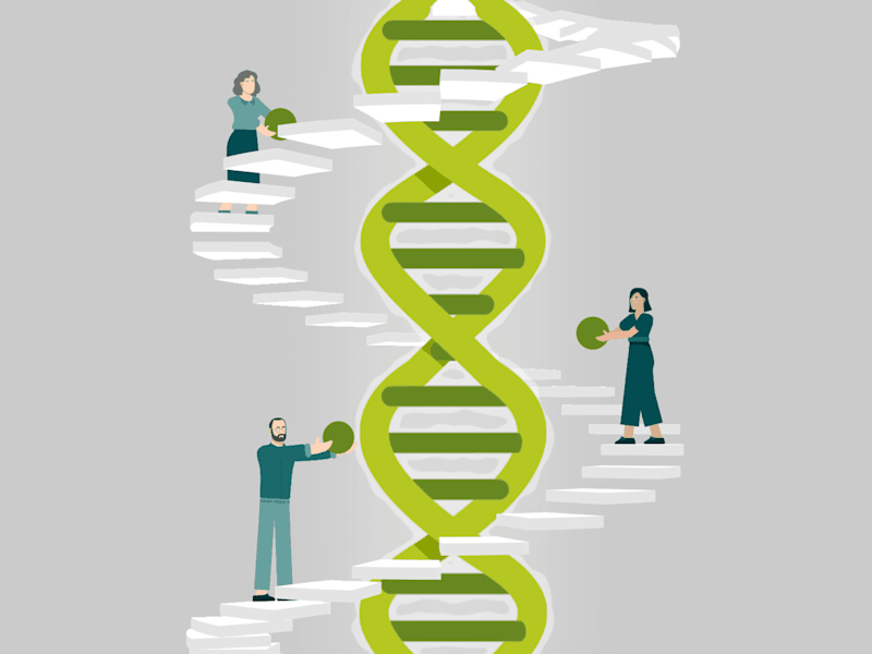 Cover image for Wiser Motiongraphics Video