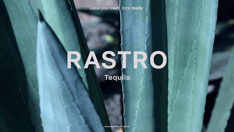 Cover image for Brand Identity for Rastro