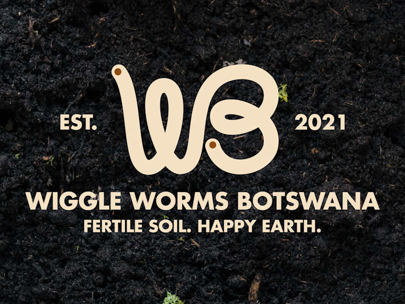 Cover image for Wiggle Worms Botswana: Brand Identity Revamp