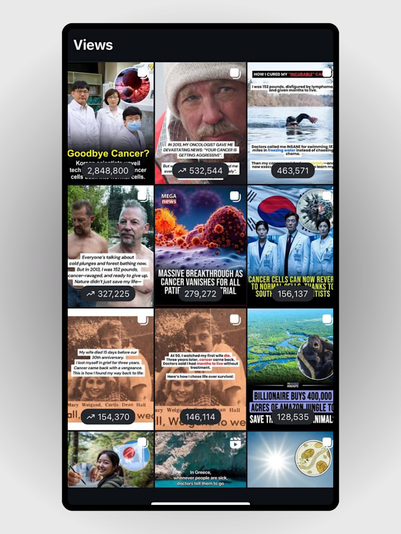 Cover image for From 3K to 287K Followers in 6 Months – IG Growth via Shoutouts