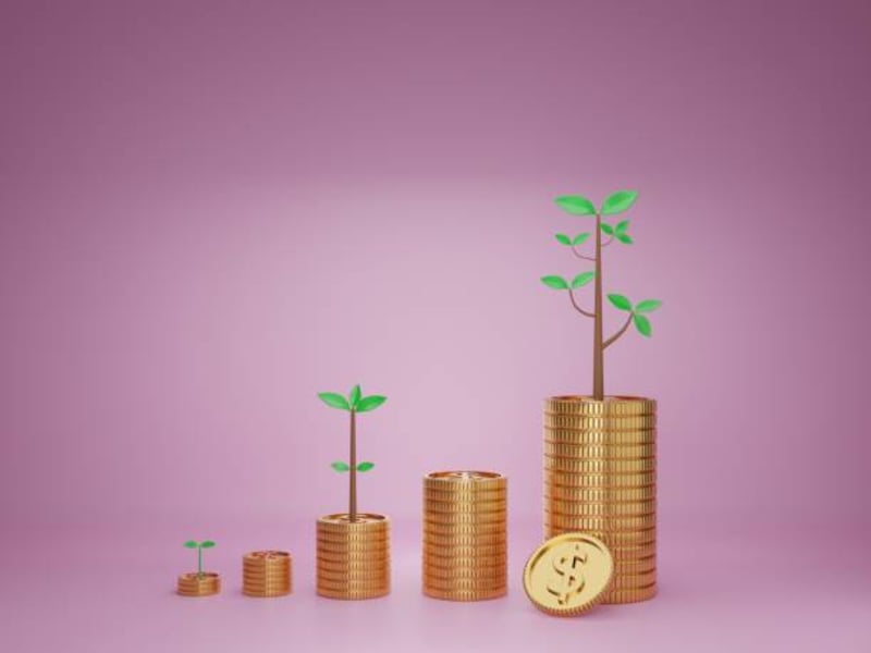 Cover image for Investment 
