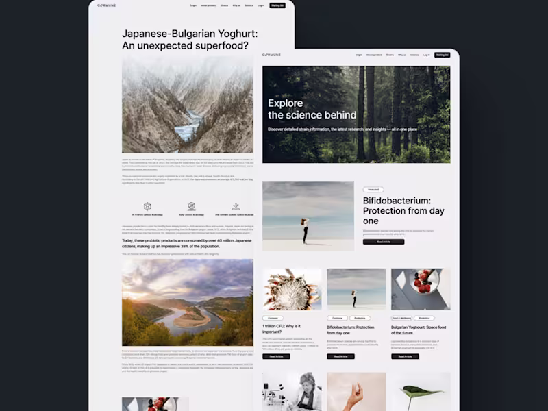 Cover image for Web Design & Development