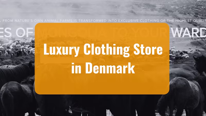 Cover image for Google Ads - Luxury Clothing Store in Denmark Ads Management