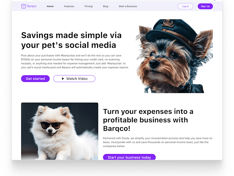 Cover image for Barqco