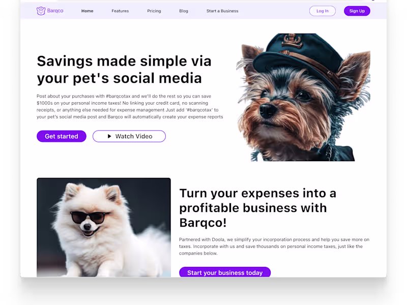 Cover image for Barqco
