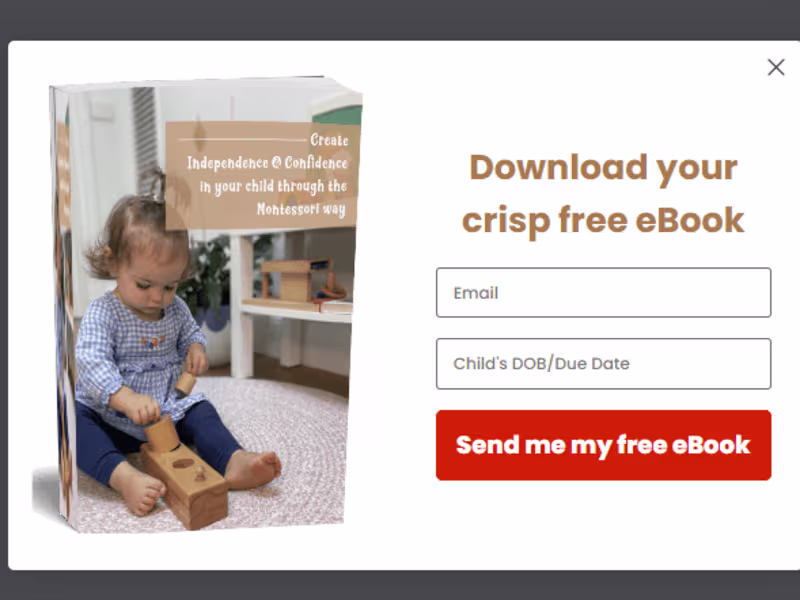 Cover image for Email Marketing for Ecommerce Brands