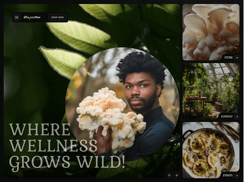 Cover image for Myco.llection - Where wellness grows Wild! Mushrooms VA