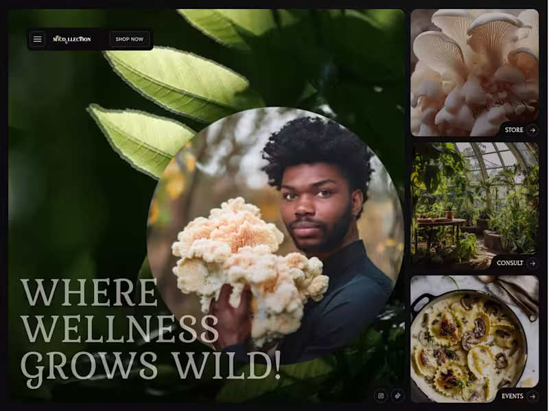 Cover image for Myco.llection - Where wellness grows Wild! Mushrooms VA