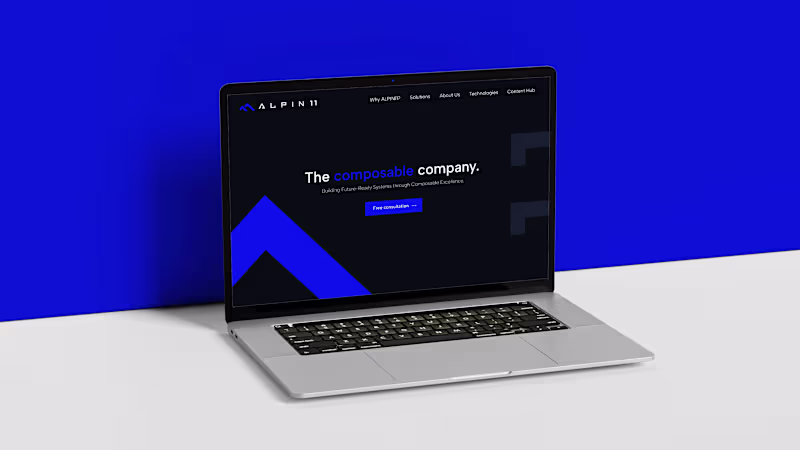 Cover image for ALPIN11: Visual Identity