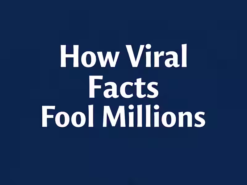 Cover image for How Online Misinformation Works