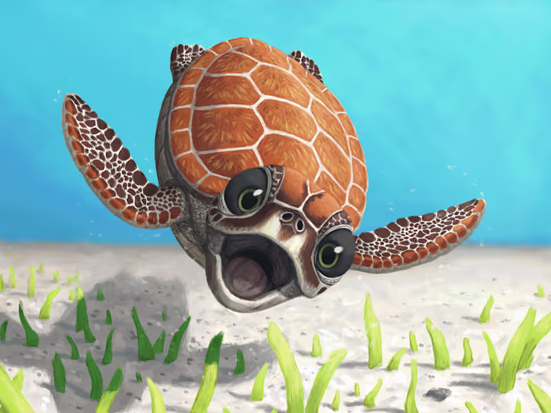 Cover image for Cute Illustrations for Children's Books or alike.