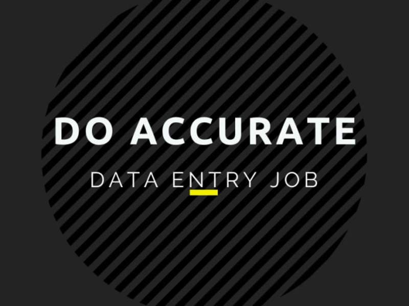 Cover image for I will do accurate data entry jobs with Excel and word