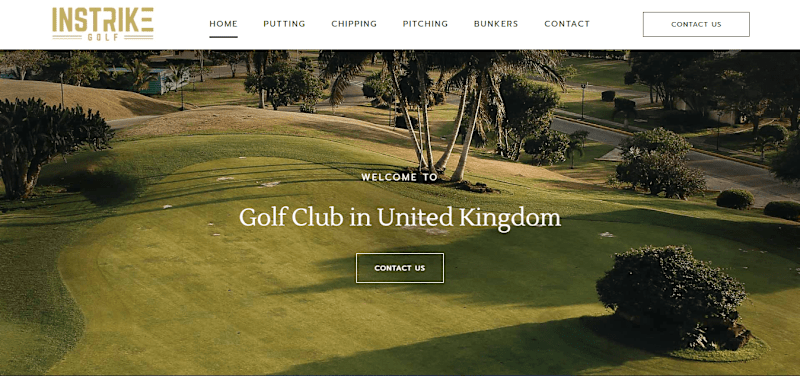 Cover image for Business  website