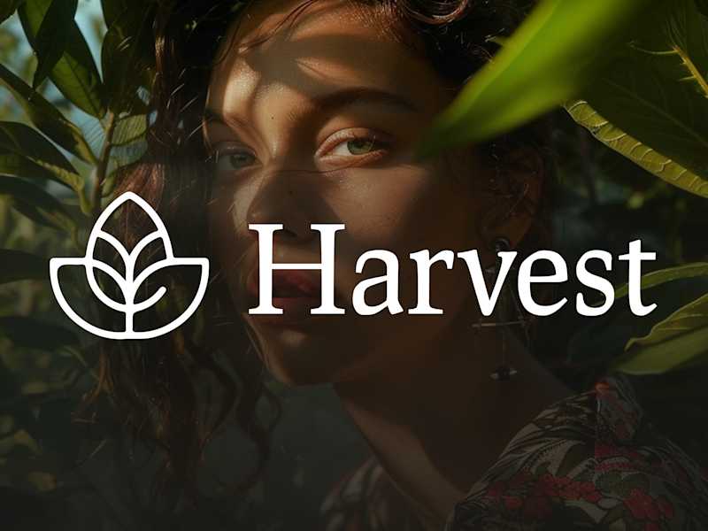 Cover image for Brand Identity for Harvest – Where Nature Meets Design