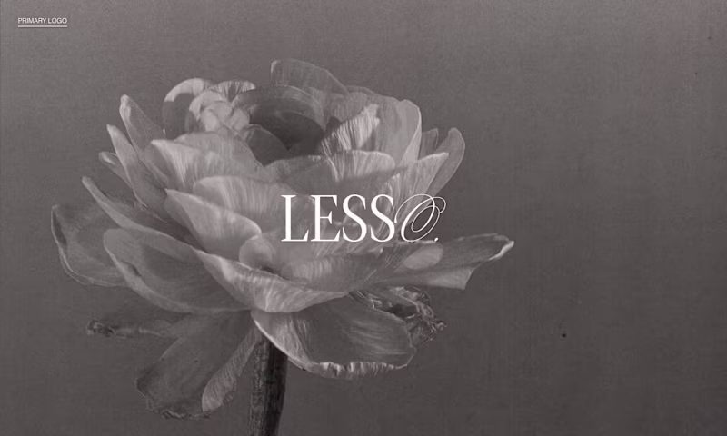 Cover image for Lesso 🩰 Branding Identity + Web Design 