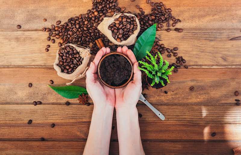 Cover image for DIY Simple and Easy Coffee Scrub Recipes in 2023