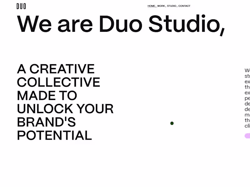 Cover image for Duo Studio Clone