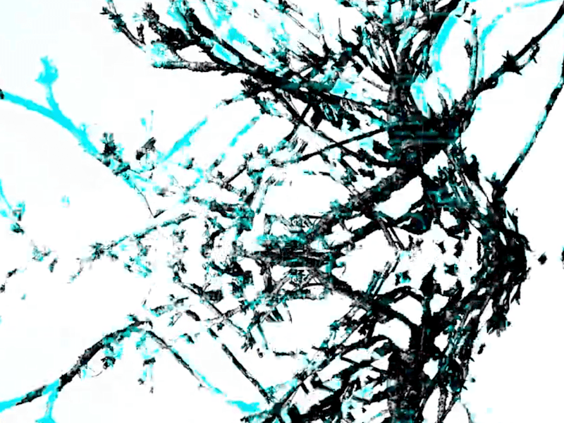 Cover image for Experience the Emotional Patterns of 'Where Anything is Possibl…