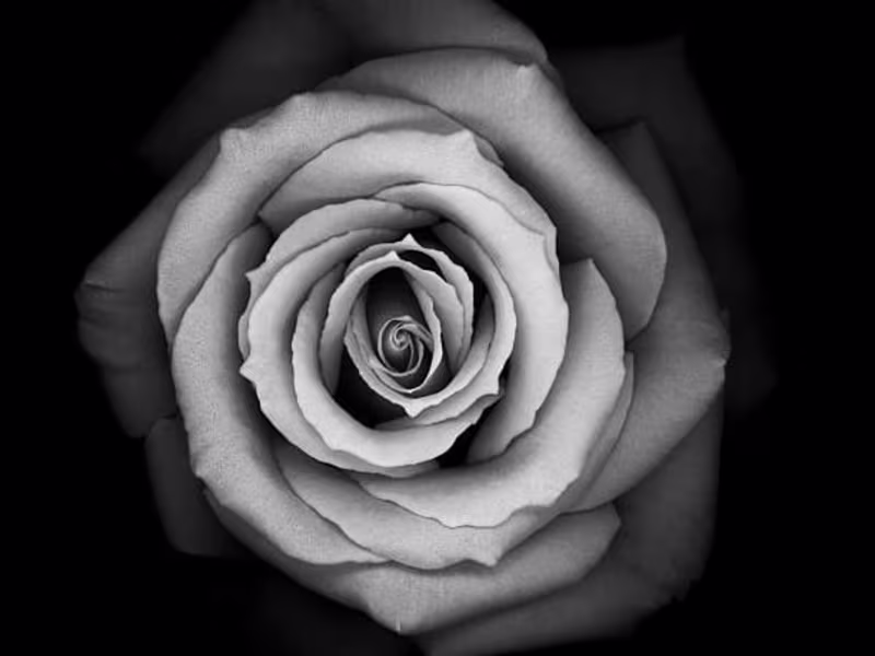 Cover image for  Video Editing 