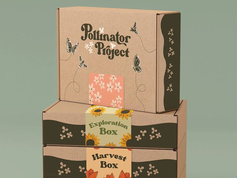 Cover image for Pollinator Project