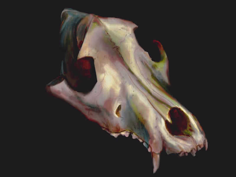 Cover image for Dark Thoughts