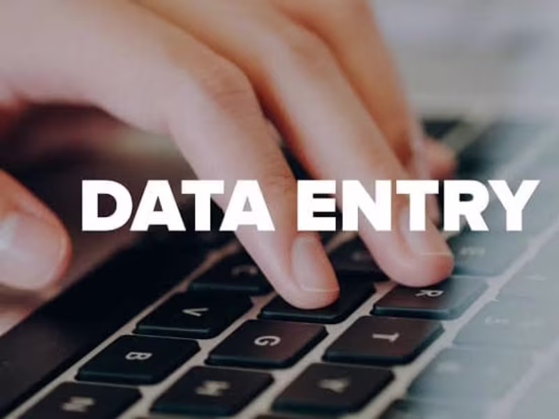 Cover image for Data entry 