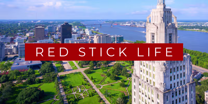 Cover image for Blog Design + Copywriting 