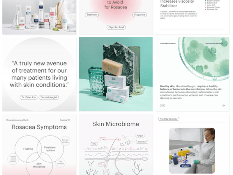 Cover image for Gladskin