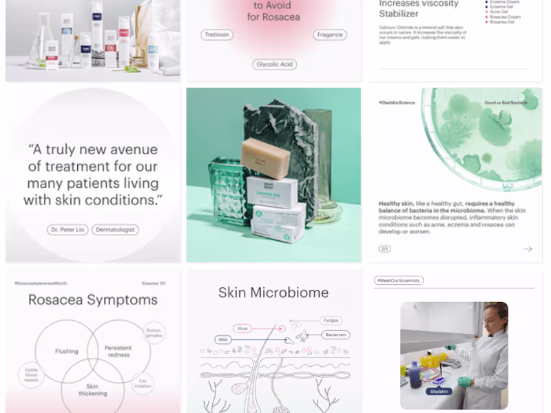 Cover image for Gladskin