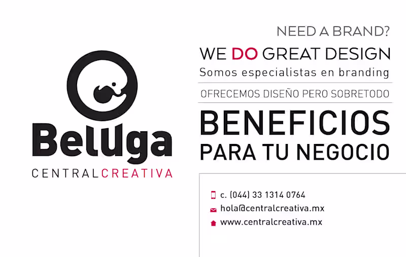 Cover image for Branding Project