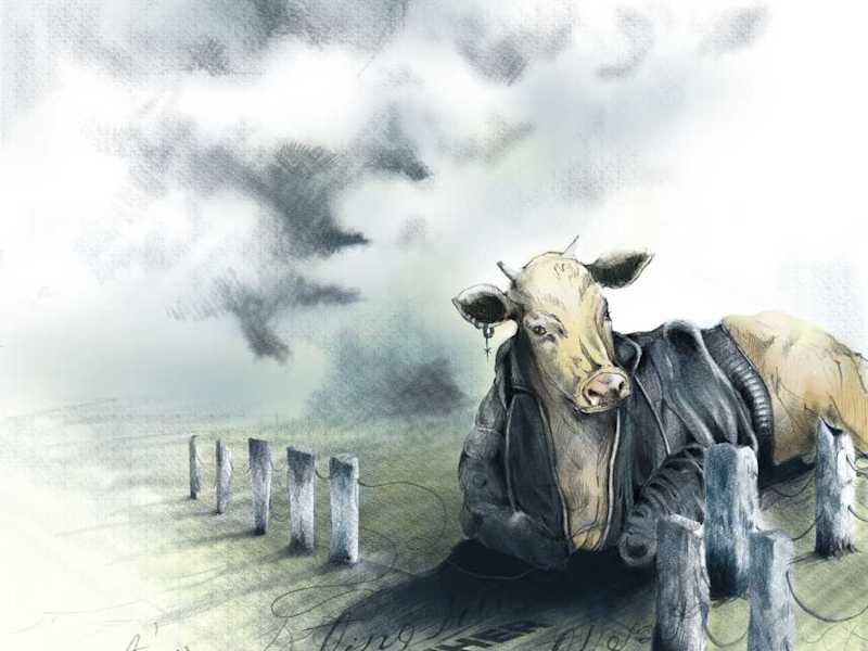 Cover image for Captivating, narrative full color illustrations
