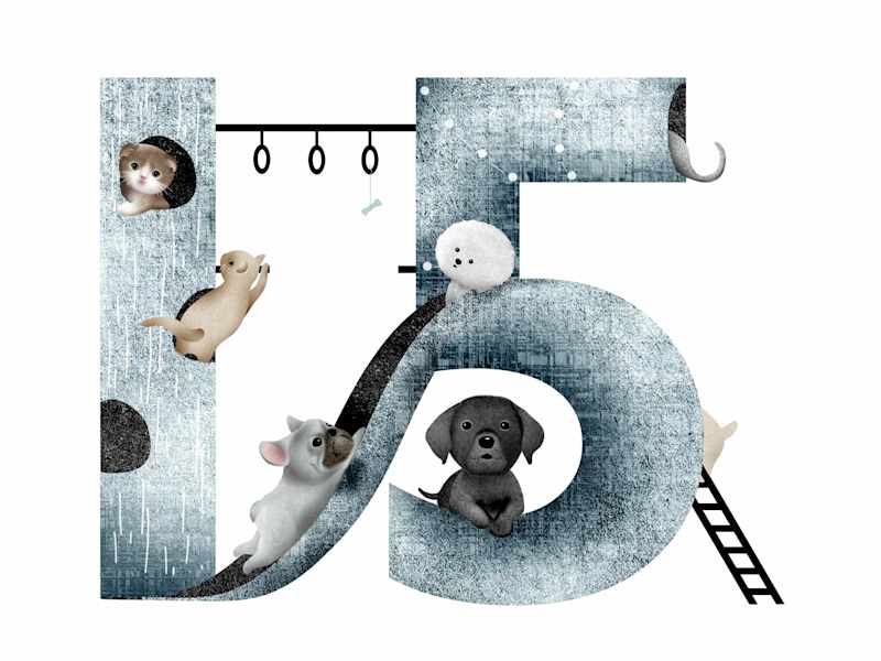 Cover image for Illustration art