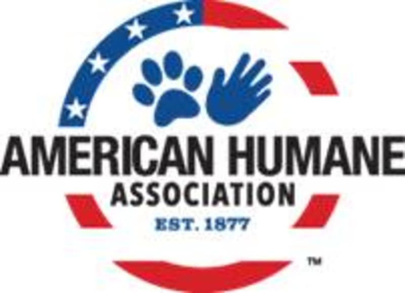 Cover image for Marketing Child and Animal Welfare