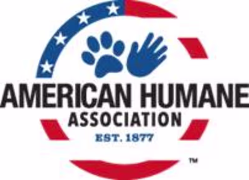 Cover image for Marketing Child and Animal Welfare