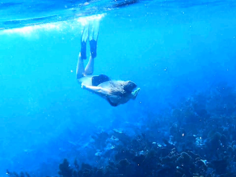 Cover image for Diving off the Florida Keys • Adventure Content