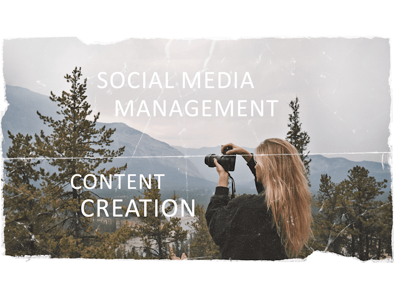 Cover image for I'll produce Social Media Content that aligns with your vision