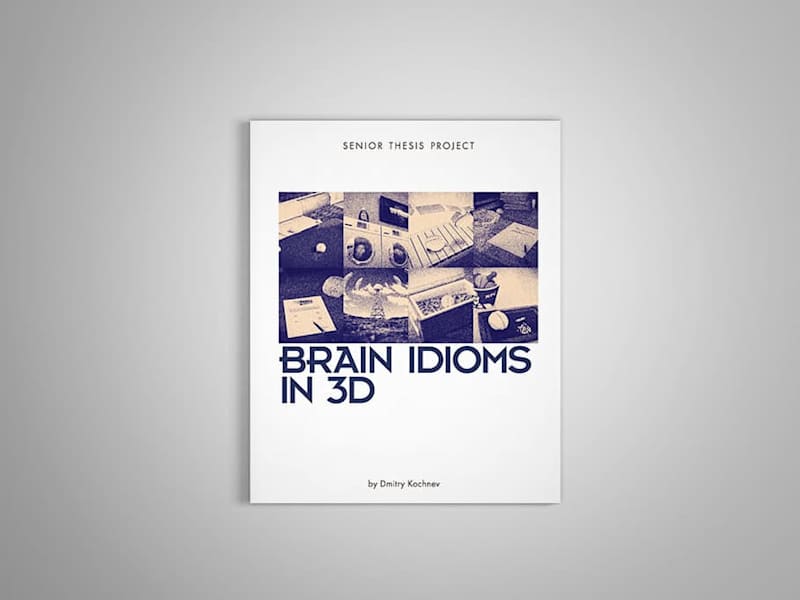 Cover image for Brain Idioms in 3D