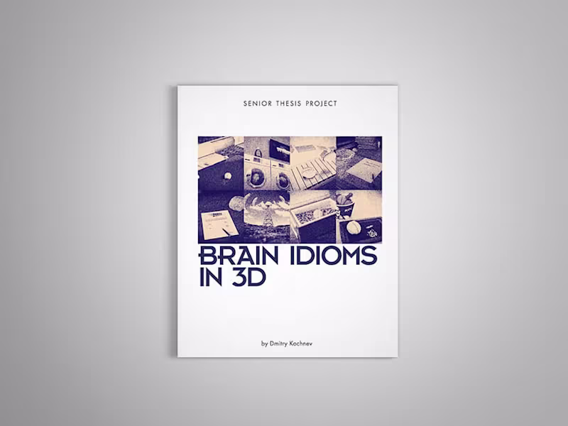 Cover image for Brain Idioms in 3D
