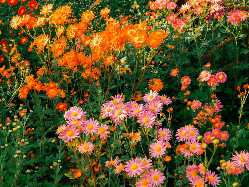 Cover image for Sustainability Blog Posts