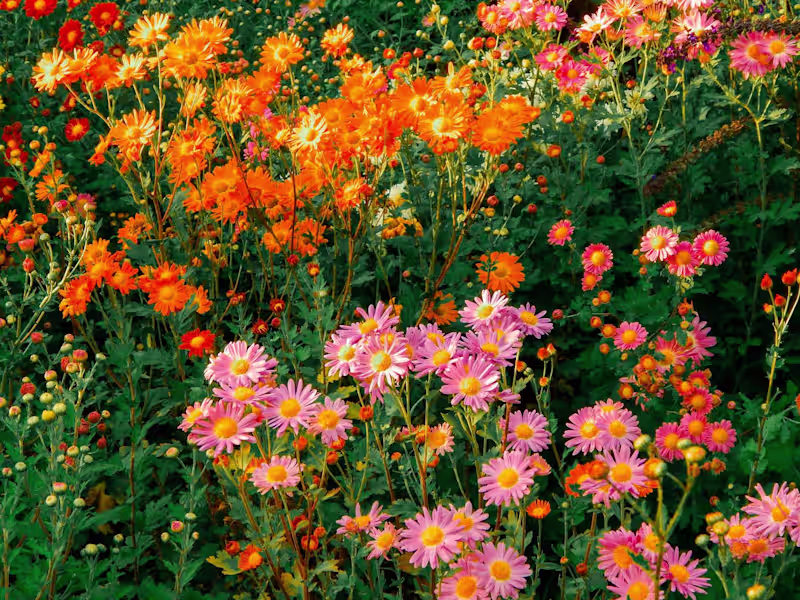 Cover image for Sustainability Blog Posts