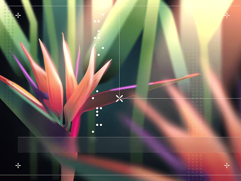 Cover image for Illustrations for Online Orangery Landing Page Design